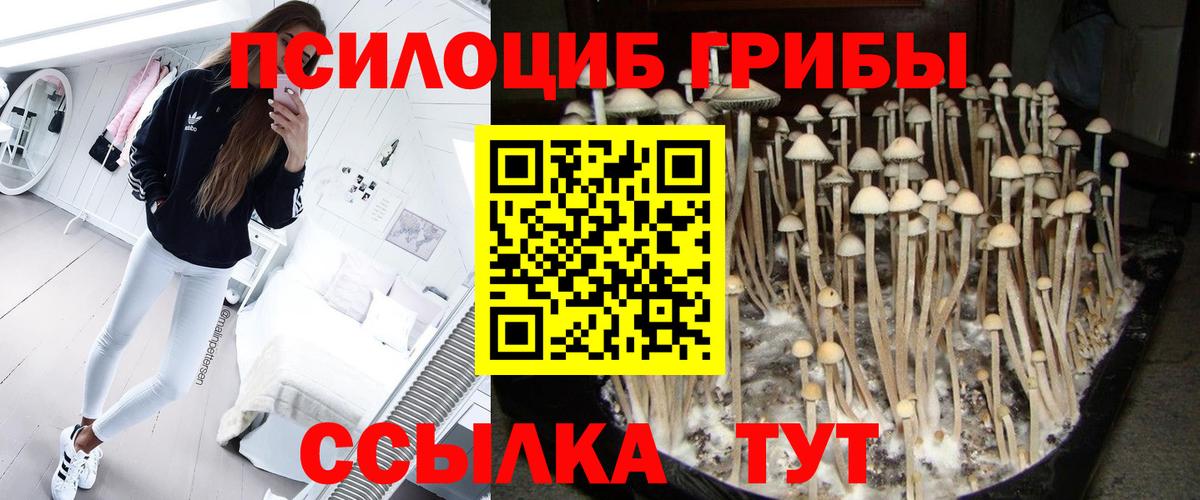Галлюциногенные грибы Psilocybine cubensis Верхняя Салда